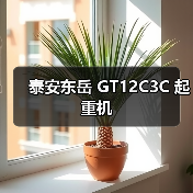泰安东岳 GT12C3C 起重机(图4) 泰安东岳 GT12C3C 起重机(图4)