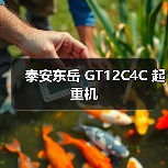 12吨起重能力 27米高起升高度的起重机性能分析
