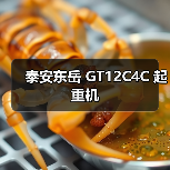 泰安东岳 GT12C4C 起重机（图2）