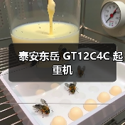 泰安东岳 GT12C4C 起重机（图3）