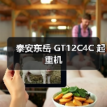 泰安东岳 GT12C4C 起重机（图4）