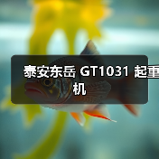 泰安东岳 GT1031 起重机(图4) 泰安东岳 GT1031 起重机(图4)