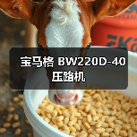 宝马格 BW220D-40 压路机（图3）