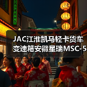 JAC江淮凯马轻卡货车变速箱安徽星瑞MSC-5S变速器二轴五档齿轮（图3）