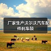 厂家生产沃尔沃汽车配件刹车鼓（图4）