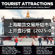 上海期货交易所铝市早上开盘行情（2025-03-31 09:03）（图3）