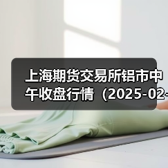 上海期货交易所铝市中午收盘行情（2025-02-19 11:33）（图4）