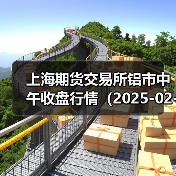 上海期货交易所铝市中午收盘行情（2025-02-19 11:33）（图3）