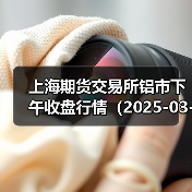上海期货交易所铝市下午收盘行情（2025-03-28 15:03）（图3）
