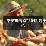 泰安东岳 GT2042 起重机(图3) 泰安东岳 GT2042 起重机(图3)