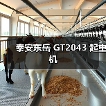 泰安东岳 GT2043 起重机（图2）
