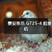 泰安东岳 GT25-4 起重机(图4) 泰安东岳 GT25-4 起重机(图4)