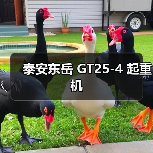 泰安东岳 GT25-4 起重机(图3) 泰安东岳 GT25-4 起重机(图3)