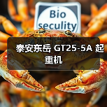 泰安东岳 GT25-5A 起重机(图2) 泰安东岳 GT25-5A 起重机(图2)