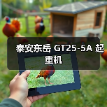 泰安东岳 GT25-5A 起重机(图4) 泰安东岳 GT25-5A 起重机(图4)