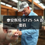 泰安东岳 GT25-5A 起重机(图3) 泰安东岳 GT25-5A 起重机(图3)