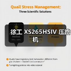 徐工 XS265HSIV 压路机(图4) 徐工 XS265HSIV 压路机(图4)