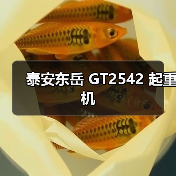泰安东岳 GT2542 起重机（图2）