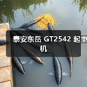 泰安东岳 GT2542 起重机（图4）