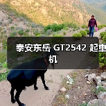 泰安东岳 GT2542 起重机（图3）