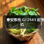 泰安东岳 GT2543 起重机(图2) 泰安东岳 GT2543 起重机(图2)