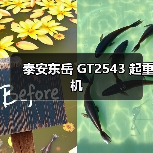 泰安东岳 GT2543 起重机(图3) 泰安东岳 GT2543 起重机(图3)