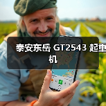 泰安东岳 GT2543 起重机(图4) 泰安东岳 GT2543 起重机(图4)
