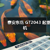 泰安东岳 GT2043 起重机（图3）