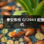 泰安东岳 GT2043 起重机（图4）