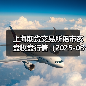 上海期货交易所铝市夜盘收盘行情（2025-03-27 01:03）（图2）