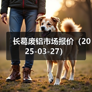 长葛废铝市场报价(2025-03-27)(图4) 长葛废铝市场报价(2025-03-27)(图4)
