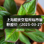 上海期货交易所铝市最新报价（2025-03-27 10:15）（图2）