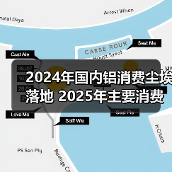 2024年国内铝消费尘埃落地 2025年主要消费领域继续分化（图2）