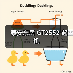 泰安东岳 GT2552 起重机（图4）