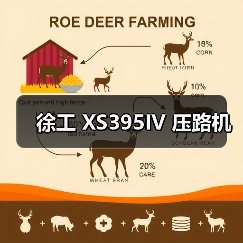 徐工 XS395IV 压路机(图4) 徐工 XS395IV 压路机(图4)