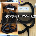 泰安东岳 GT2552 起重机（图3）