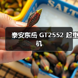 25吨起重能力解析：GT2552起重机的功能特点