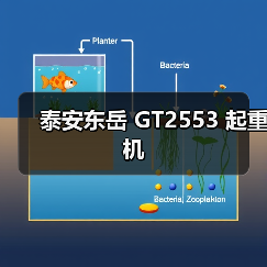 泰安东岳 GT2553 起重机（图3）