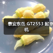 泰安东岳 GT2553 起重机（图2）