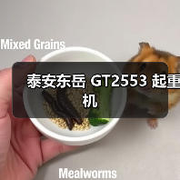泰安东岳 GT2553 起重机（图4）