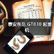 泰安东岳 GT830 起重机(图3) 泰安东岳 GT830 起重机(图3)