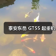 泰安东岳 GT55 起重机(图4) 泰安东岳 GT55 起重机(图4)