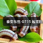 GT55起重机55吨起重能力 高效稳定安全可靠