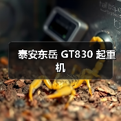 泰安东岳 GT830 起重机(图4) 泰安东岳 GT830 起重机(图4)