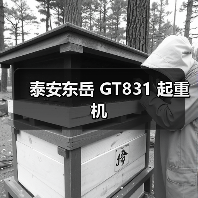 8吨起重能力，多功能设计的高效起重机参数解析