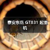 泰安东岳 GT831 起重机（图3）