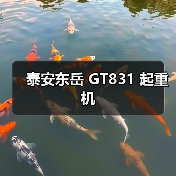 泰安东岳 GT831 起重机（图2）