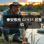 泰安东岳 GT831 起重机（图4）