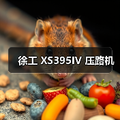 徐工 XS395IV 压路机(图3) 徐工 XS395IV 压路机(图3)