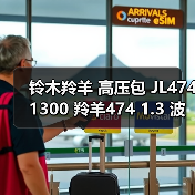 铃木羚羊 高压包 JL474 1300 羚羊474 1.3 波箱发动机总成（图2）